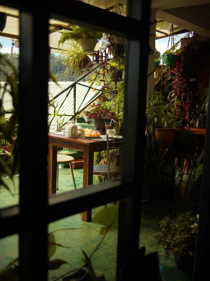 Redwood Homestay Νουβάρα Ελίγια Εξωτερικό φωτογραφία