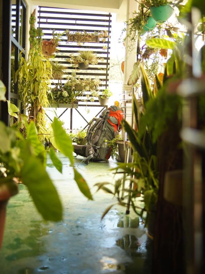 Redwood Homestay Νουβάρα Ελίγια Εξωτερικό φωτογραφία