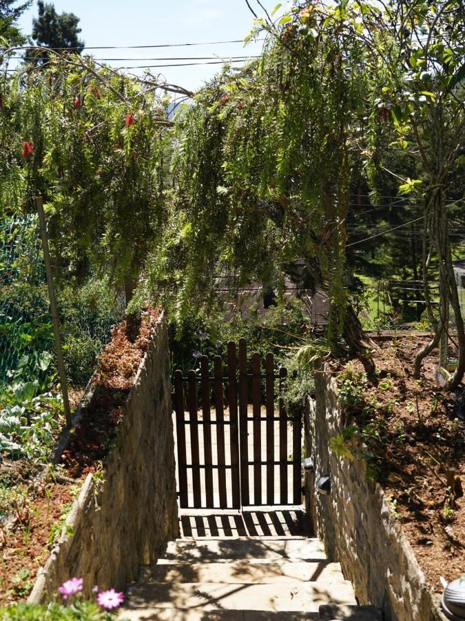 Redwood Homestay Νουβάρα Ελίγια Εξωτερικό φωτογραφία