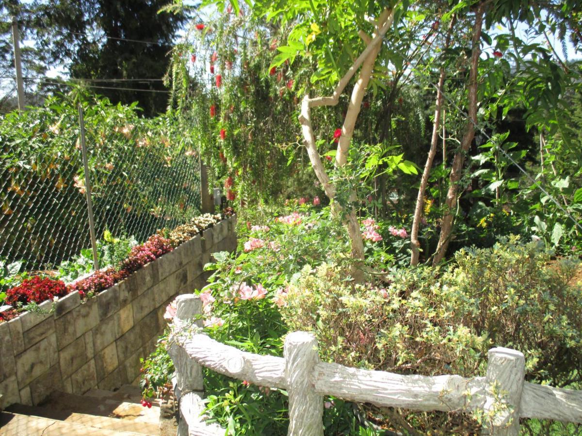 Redwood Homestay Νουβάρα Ελίγια Εξωτερικό φωτογραφία