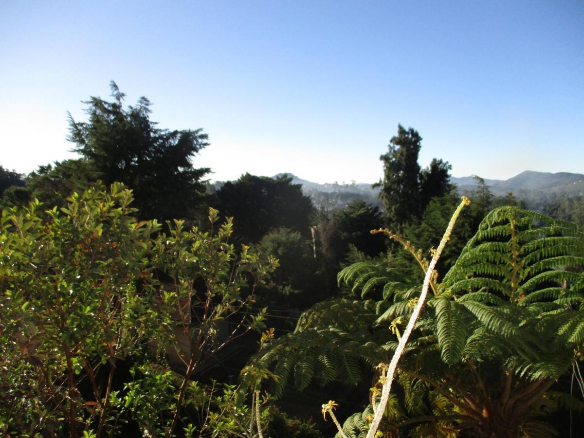 Redwood Homestay Νουβάρα Ελίγια Εξωτερικό φωτογραφία
