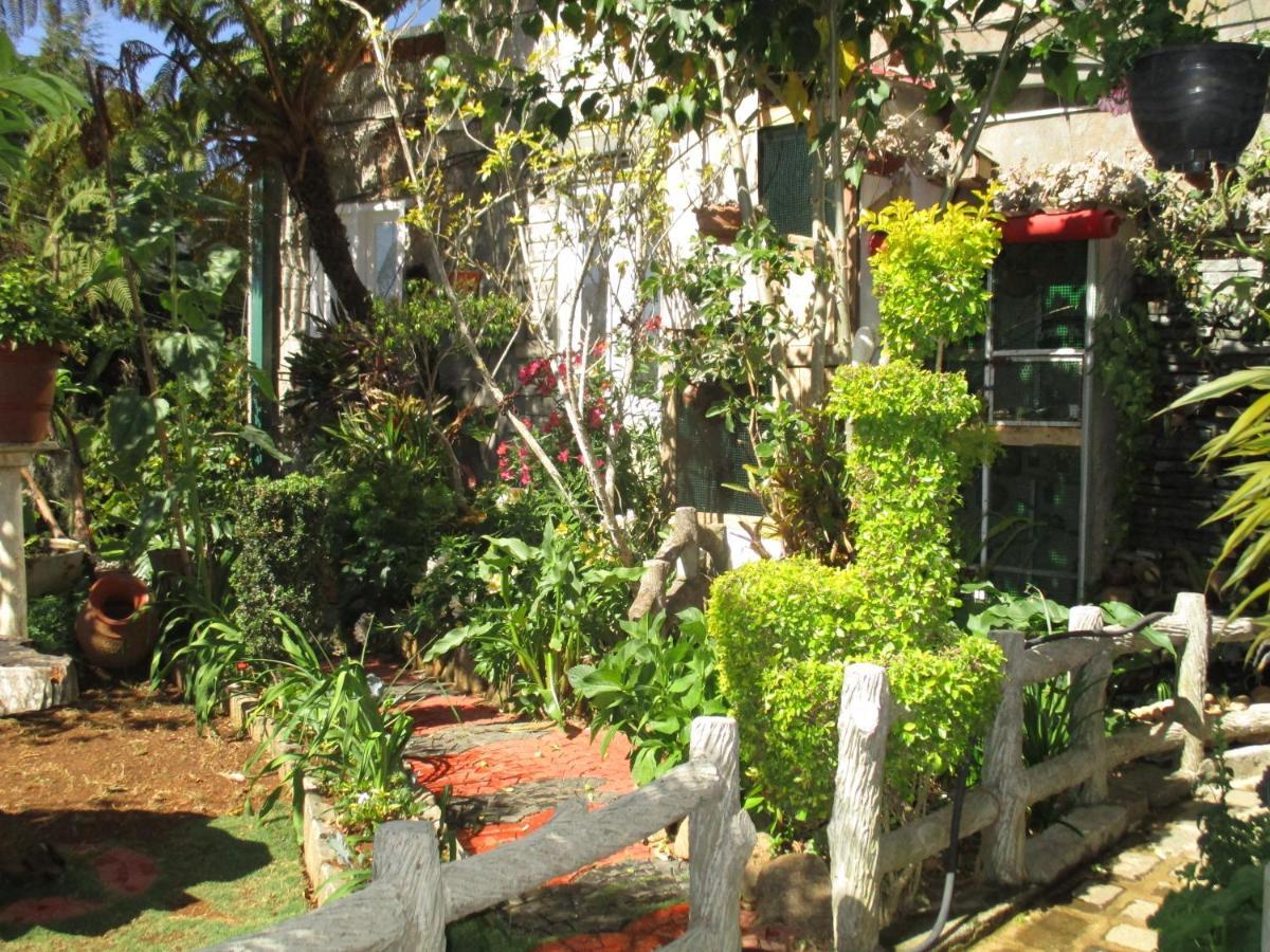 Redwood Homestay Νουβάρα Ελίγια Εξωτερικό φωτογραφία